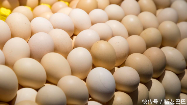 千层金配资 9月3日：调价后92/95号汽油价格；蛋价“僵持”，蓄势待涨？